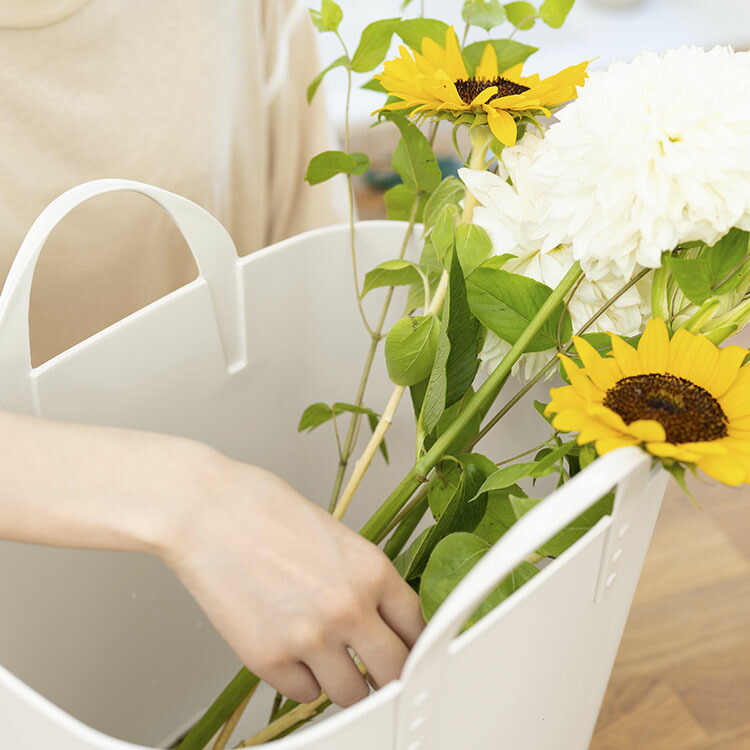 楽天市場】【KEYUCA公式店】ケユカ LioソフトBOX ライトグレー