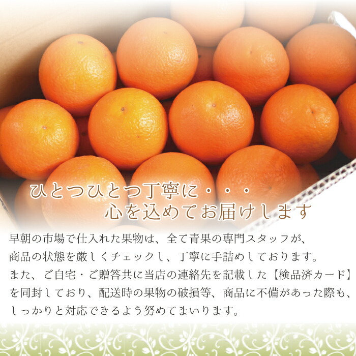 楽天市場】国産 バレンシアオレンジ 送料無料【 L/2L/3L(中玉から大玉