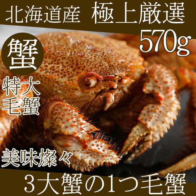 楽天市場】毛蟹570g前後×1尾 北海道 毛がに1杯【北海道産特大毛蟹