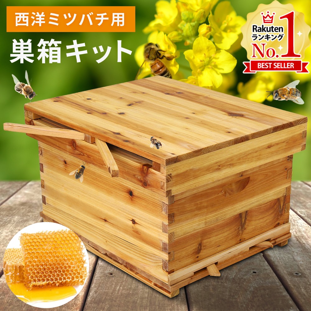 楽天市場】【LINE登録で200円OFFクーポン 先着・利用条件あり】 巣箱