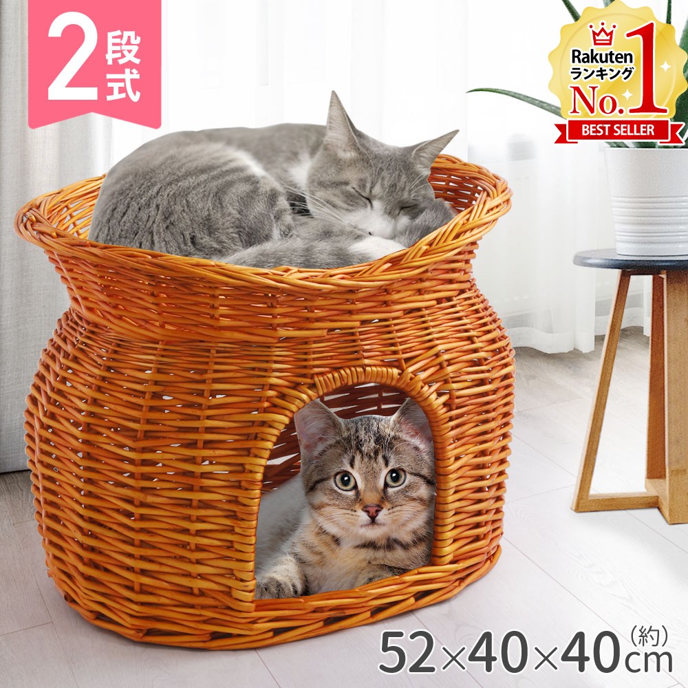 楽天市場】【半額&5%OFFクーポン配布4日20時〜 利用条件あり】 猫 ち