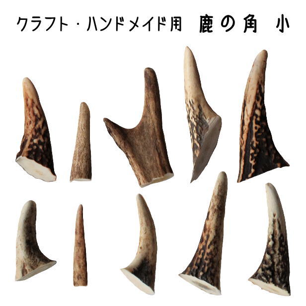 楽天市場】鹿の角 パーツ 小 約5cm前後 3本入 アクセサリー