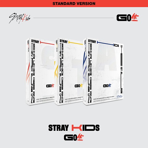 楽天市場】straykids go生 限定盤の通販
