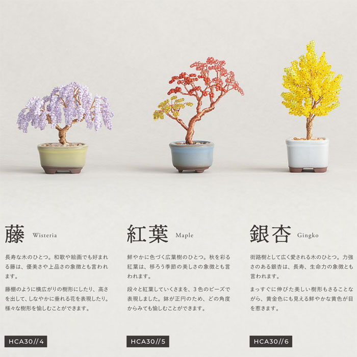 楽天市場】MIYUKI（ミユキ）nejitte ネジッテBONSAIキット 松 Pine