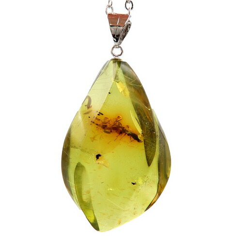 楽天市場】＼最大30％OFFクーポン／化石 虫入り琥珀 ネックレス