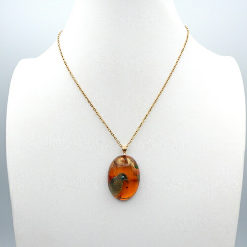 楽天市場】琥珀 ネックレス ペンダントトップ カワセミ 鳥 柿 3.5cm x