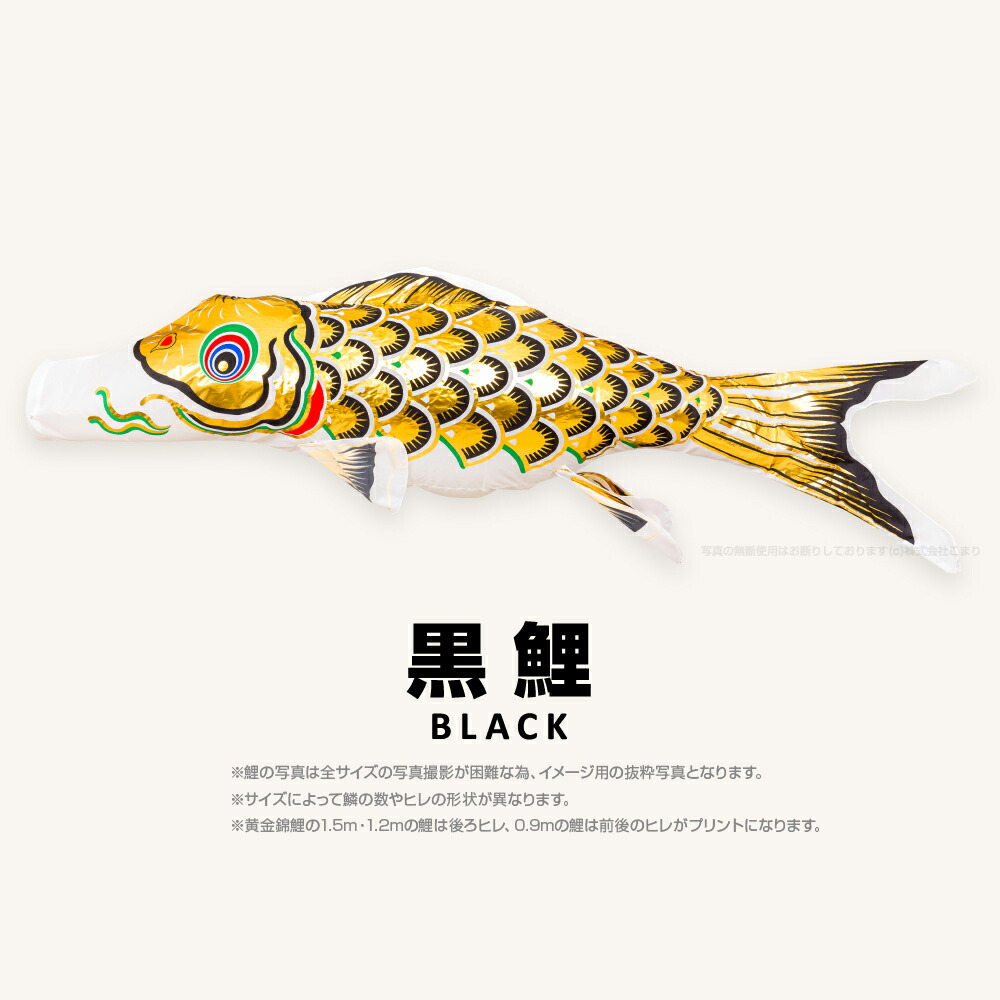 楽天市場】【3/1ワンダフルデーP最大4倍】 こいのぼり 単品 鯉のぼり