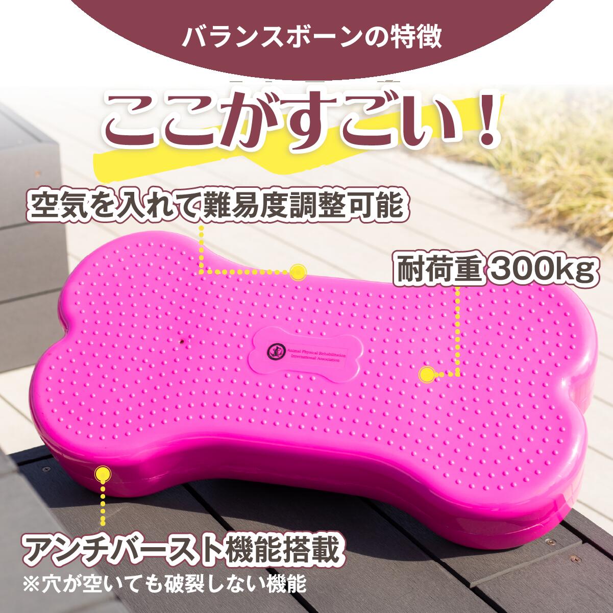 楽天市場】＼スーパーSALE☆10%OFF&P2倍！クーポン配布中