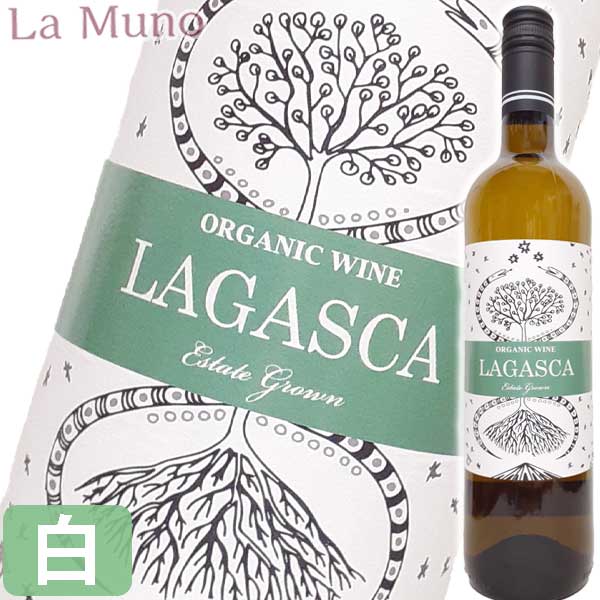 楽天市場】自然派ワイン入門セット 白ワイン 5本セット フランス