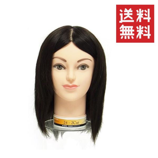 楽天市場】ユーカリジャパン 国家試験練習用カットウィッグ 24-2cut 人