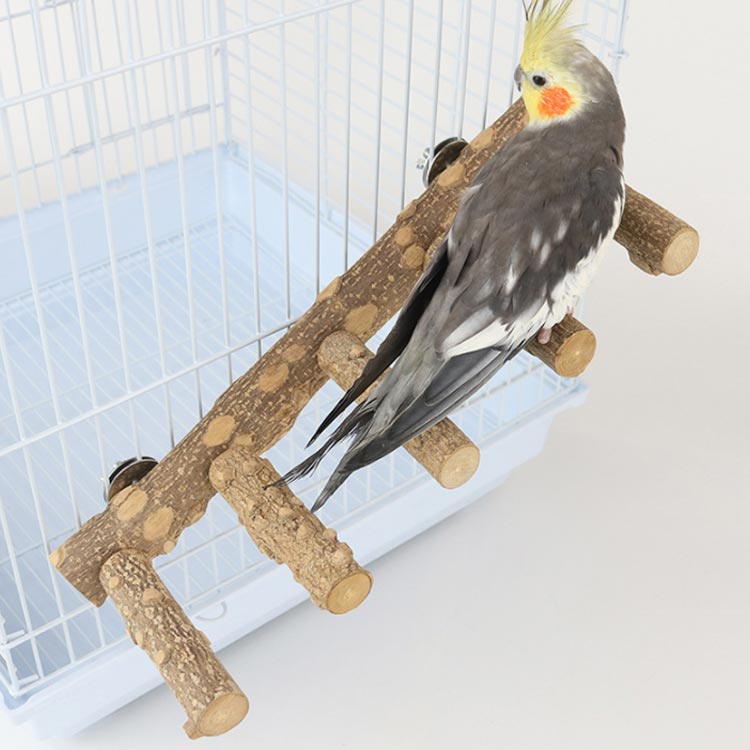 楽天市場】鳥用 5連 とまり木 天然木 鳥スタンド ステップ 階段 インコ