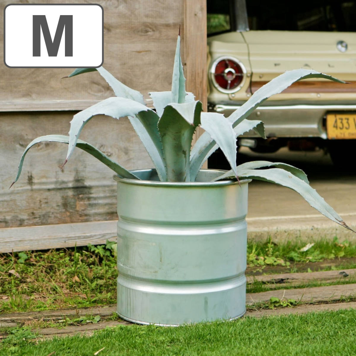 楽天市場】ドラム缶 プランターの通販