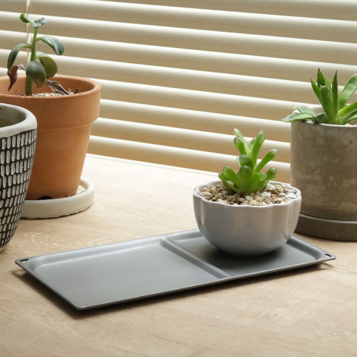 楽天市場】トレー 22cm スクエア トリートレイ アルミニウム 同色4枚