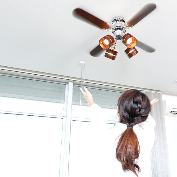 楽天市場】[楽天スーパーSALE! 3/4 20:00 - 3/11 1:59] シーリング