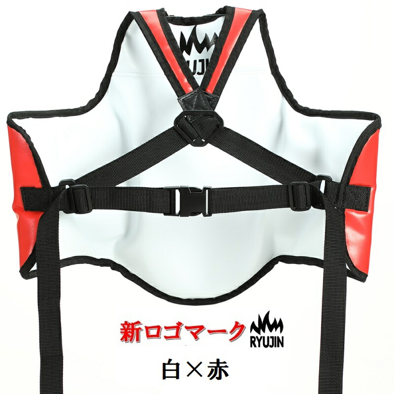 楽天市場】【サイズ交換送料無料】RYUJIN リュウジン 空手 ボディ