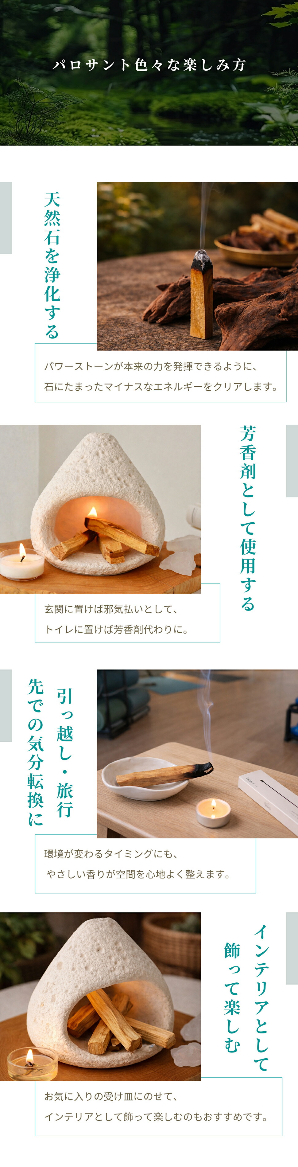 楽天市場】☆SS限定半額以下☆【楽天1位】【鮮度にこだわり毎月入荷