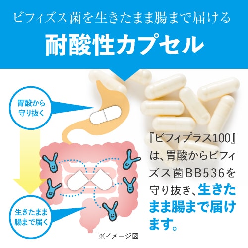 楽天市場】生きた ビフィズス菌 サプリ BB536 100億 ＋ 乳酸菌 生成