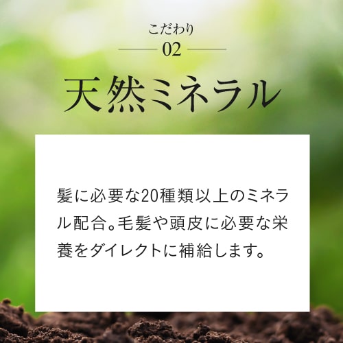 楽天市場】[ポイント10倍] イオニート フルーティーシャンプー