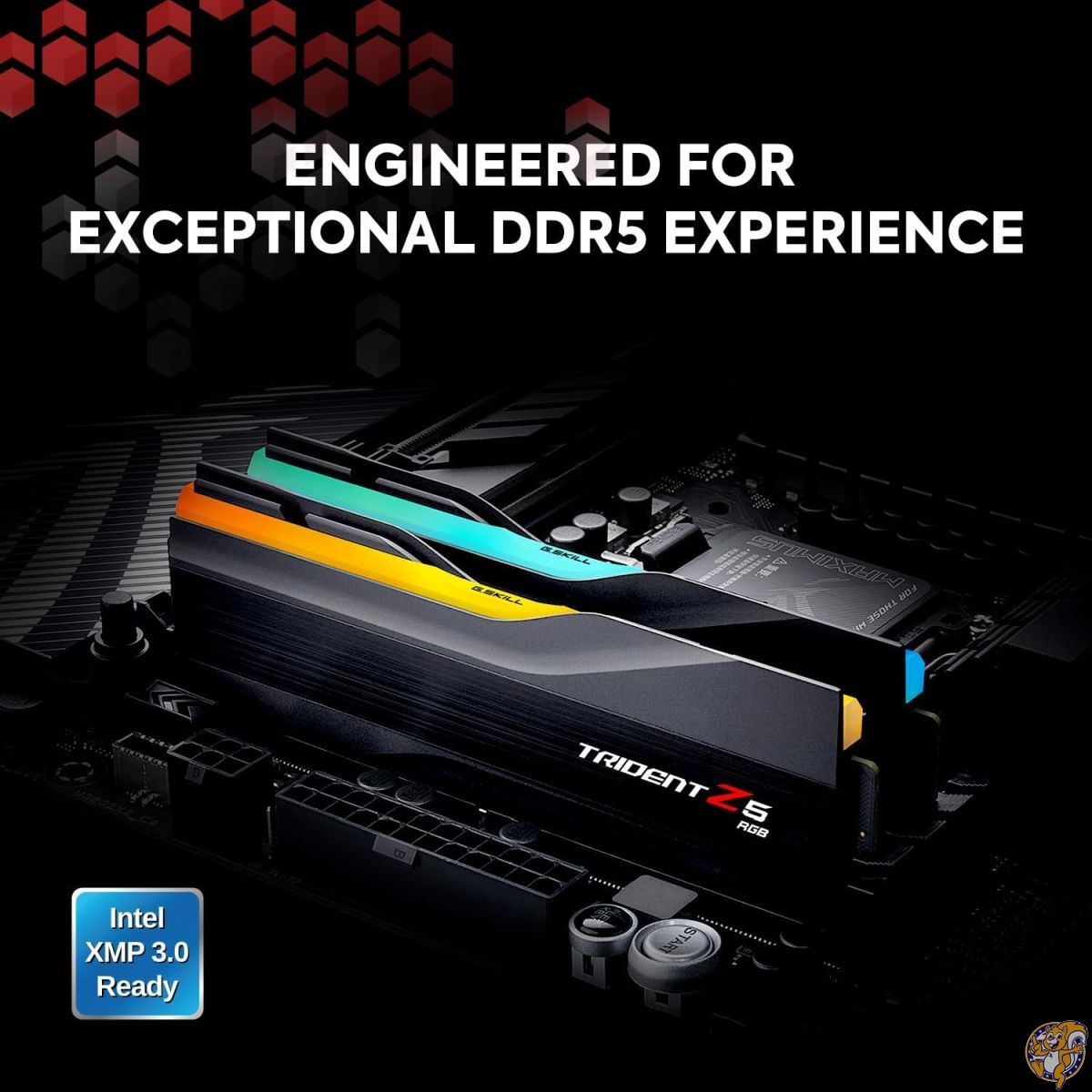 楽天市場】【最大2000円クーポン4日から】G.Skill (ジースキル