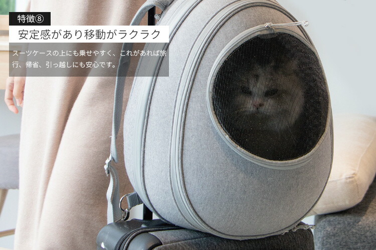 楽天市場】【豪華特典有】EGGY リュック型猫ハウス 背負えるペット