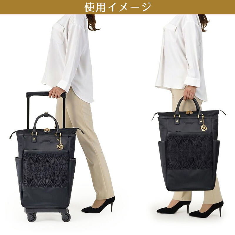 楽天市場】スワニー SWANY キャリーバッグ ノワール Lサイズ 22L