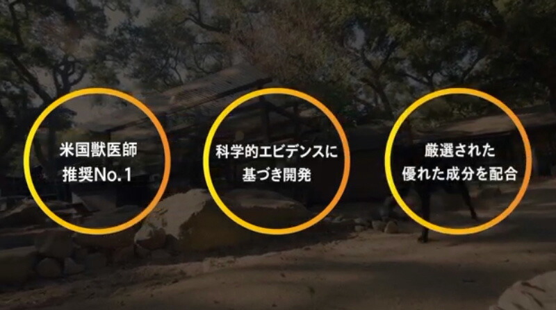 楽天市場】ダスクイン タブレット 120錠入り(8錠×15シート）関節