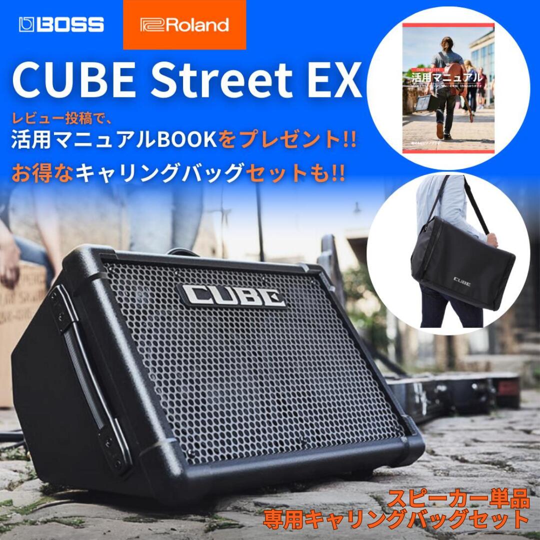 楽天市場】【レビュー投稿で活用マニュアルプレゼント】Roland