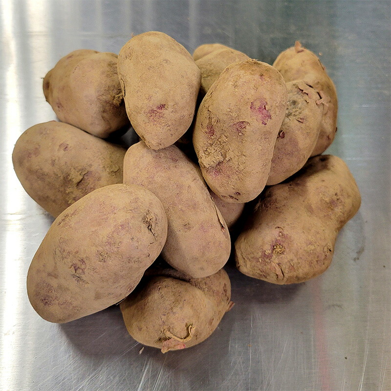 楽天市場】【3/31までエントリーで最大100%Pバック】10kg 種芋