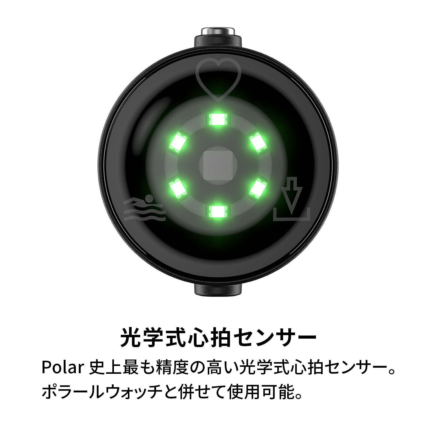 楽天市場】【ポラール公式ストア】Polar Verity Sense 光学式 腕 心拍