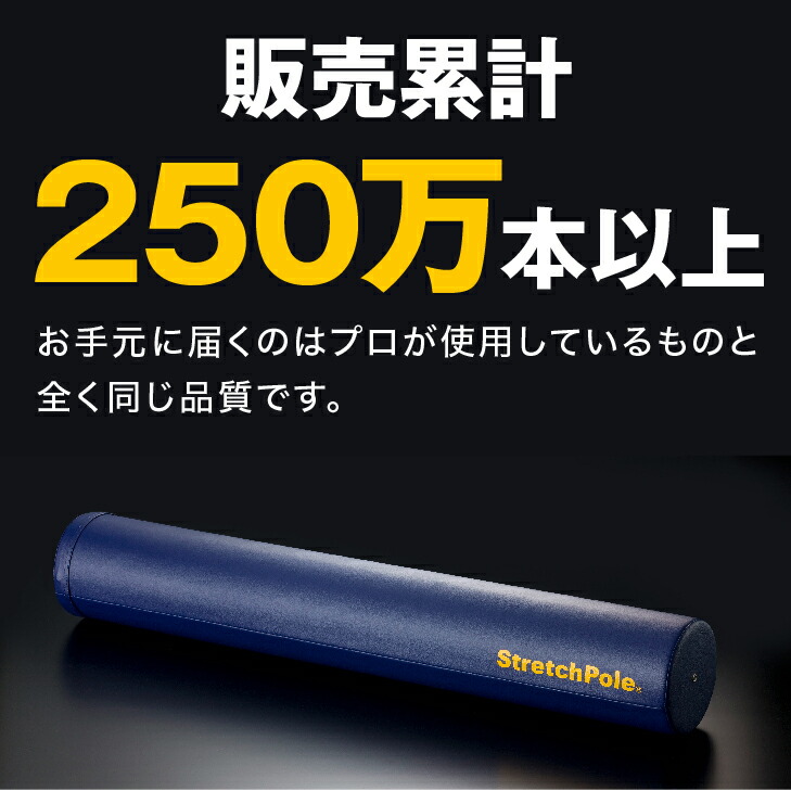 楽天市場】LPN ストレッチポールEX(イエロー)スタートBOOK