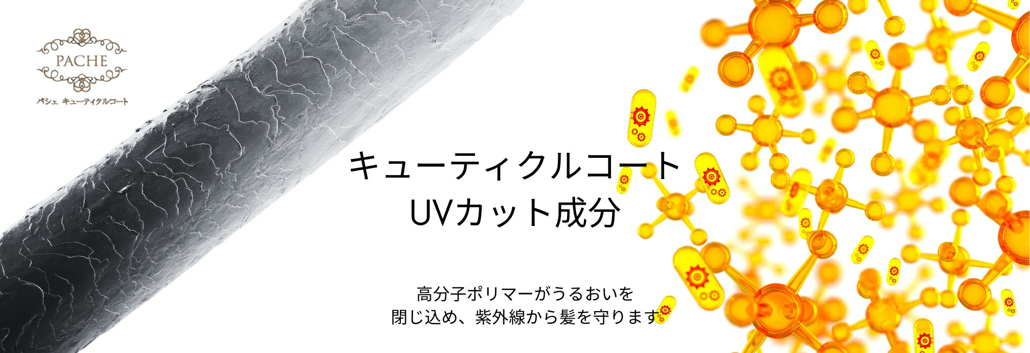 楽天市場】洗い流さないトリートメント クラシエ パシェ