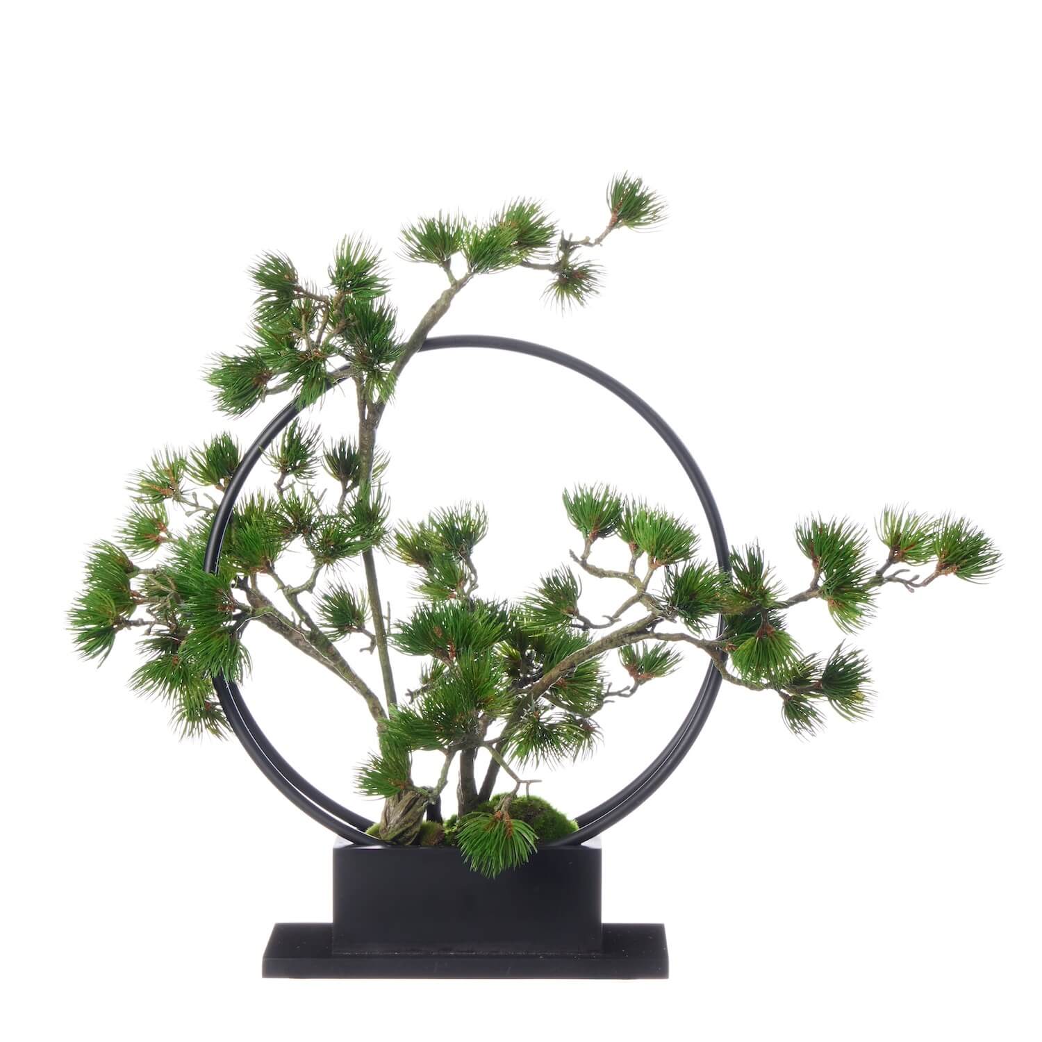 楽天市場】【ポイントUP】【公式】松 吹き流し 2本 リングベースL