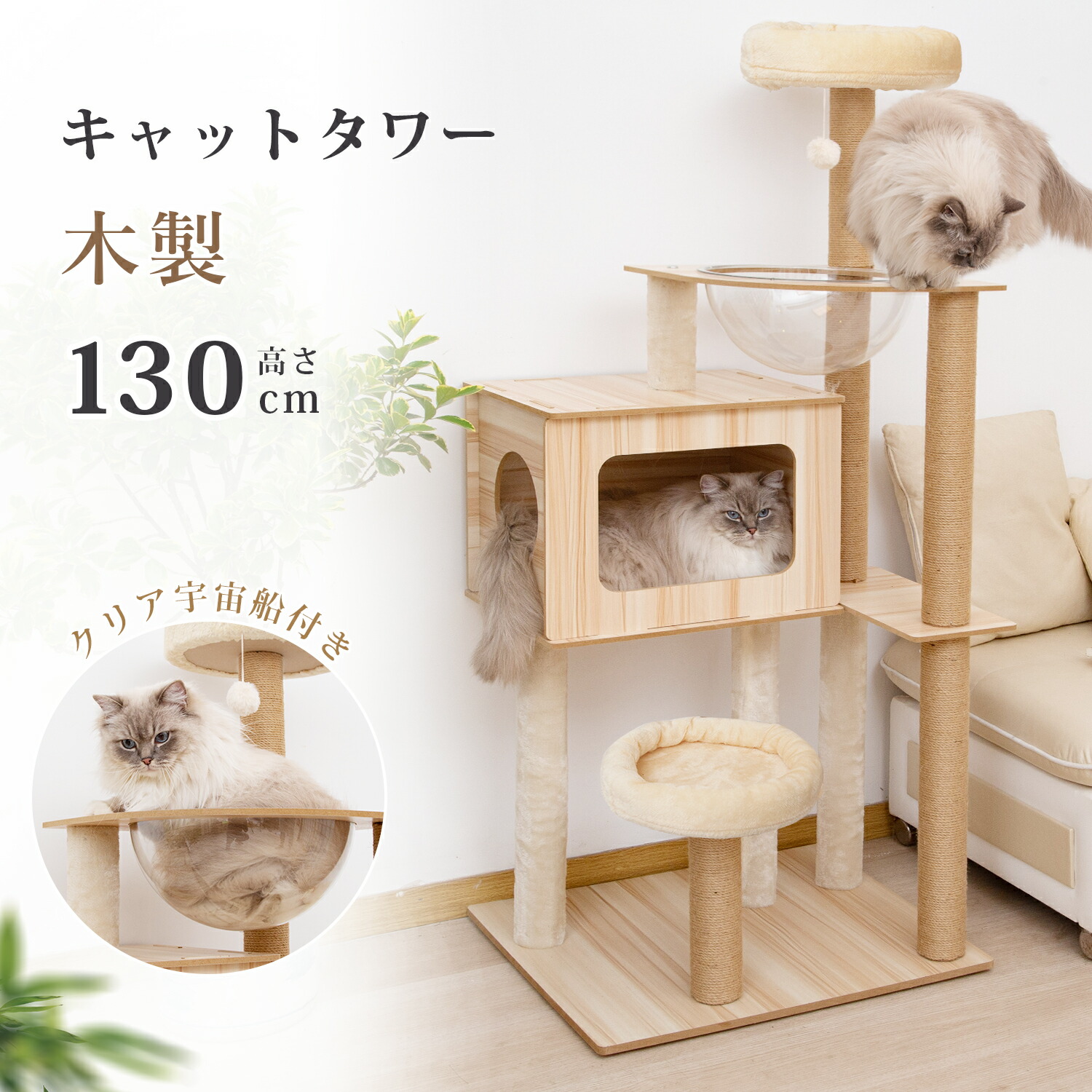 楽天市場】【SS期間限定15%OFF！さらに1000円OFFクーポン】キャット