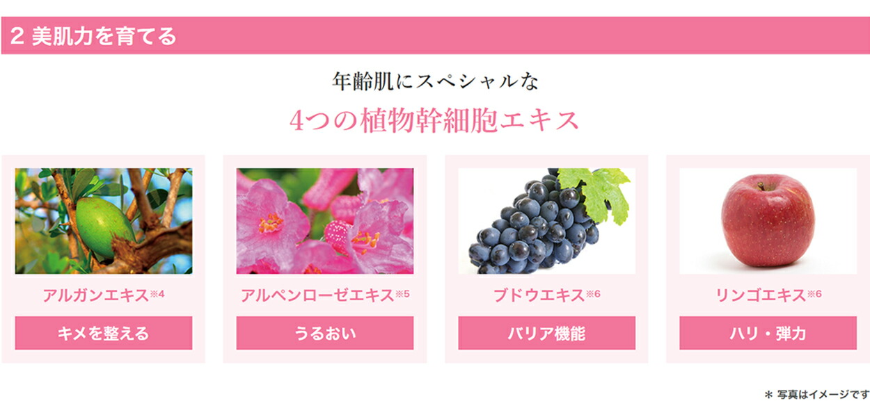 楽天市場】【公式】 キューサイ コラリッチ エクストラナイト