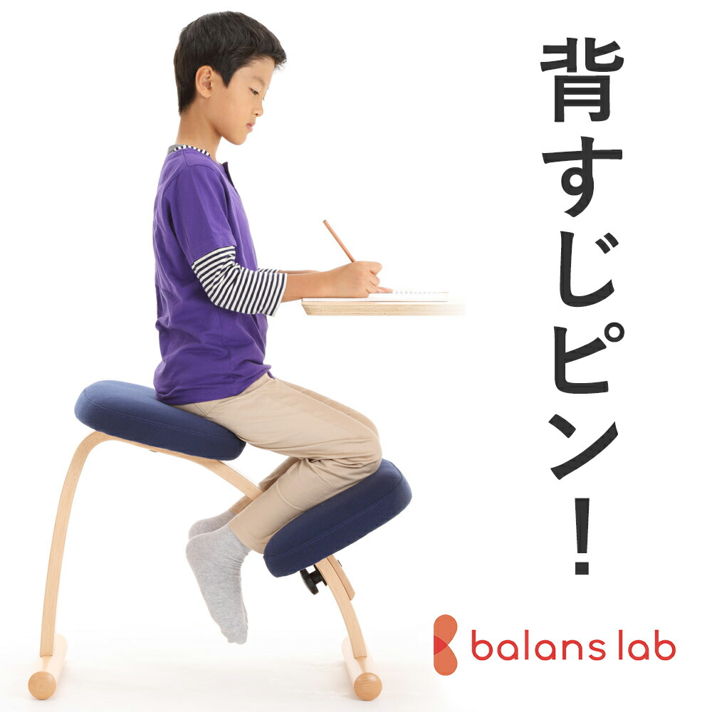 楽天市場】バランスチェア イージー サカモトハウスの通販