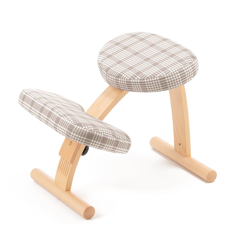 楽天市場】バランスチェア バランスイージー 推しカバー マイルド