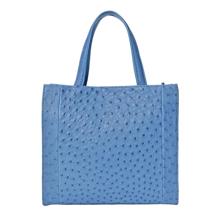 9192-os-clematis.jpg?fitin=720:720