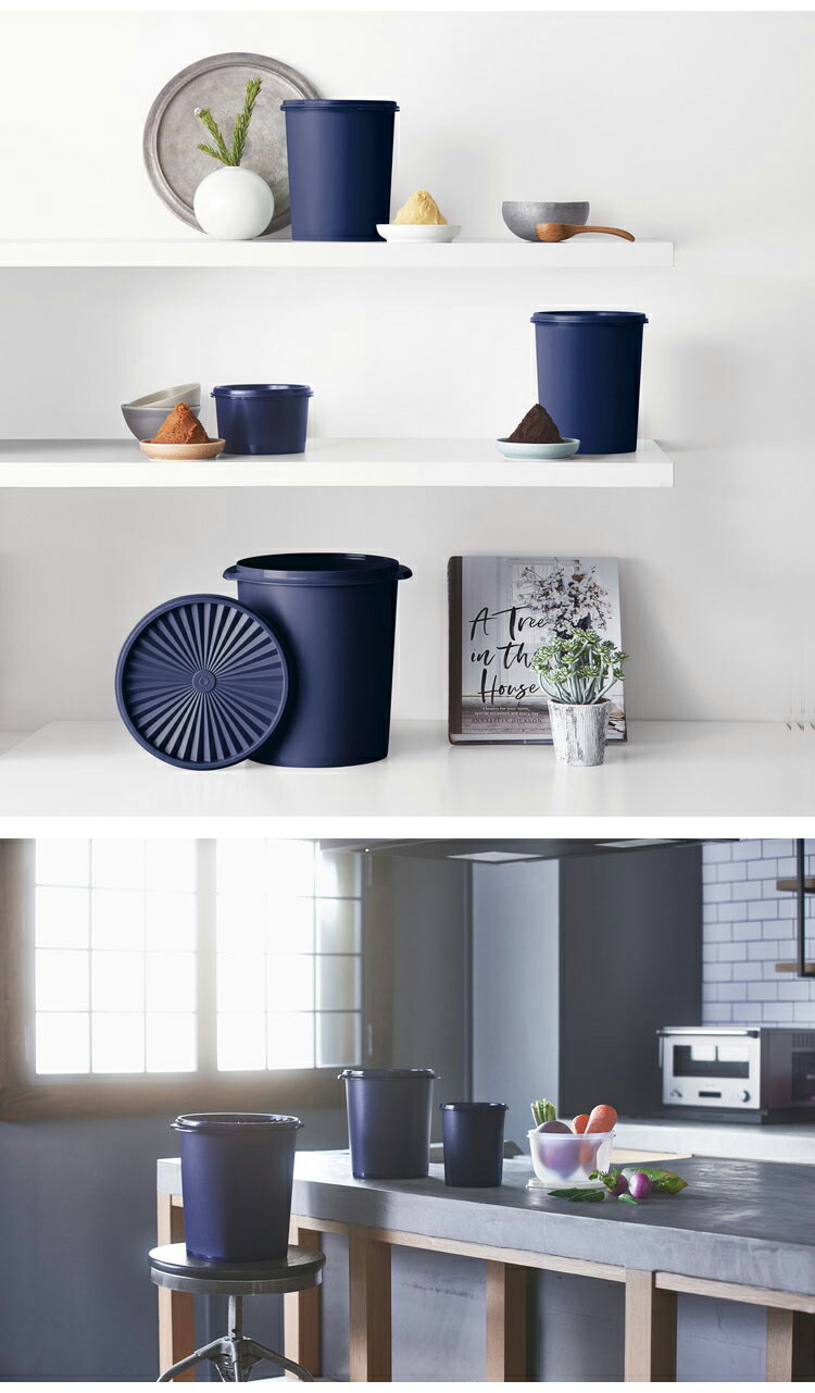 楽天市場】タッパーウェア マキシデコレーター 密封 密封 保存容器