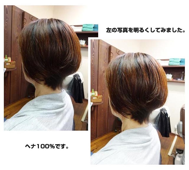 楽天市場】ヘナ 白髪染め ナチュラルヘナ (100g×1) 天然 100% ヘア