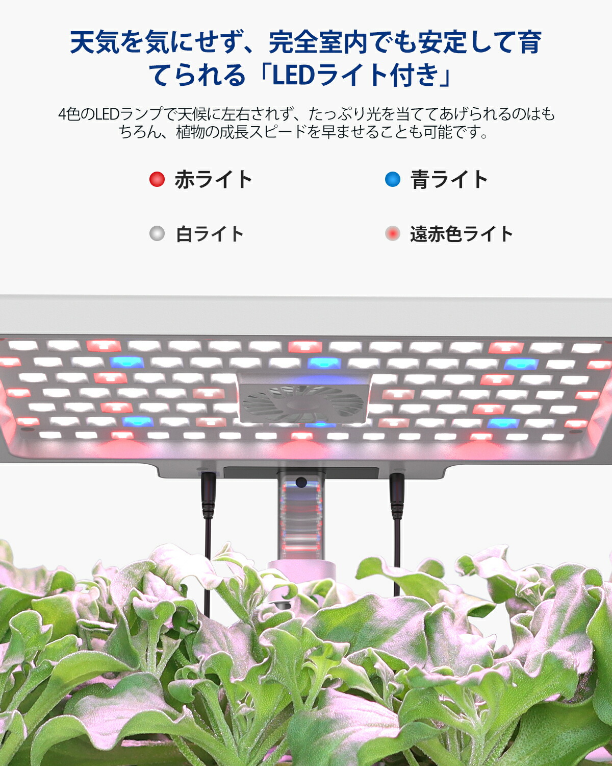 楽天市場】【先着30名様限定クーポン配布中】iDOO 水耕栽培キット 野菜