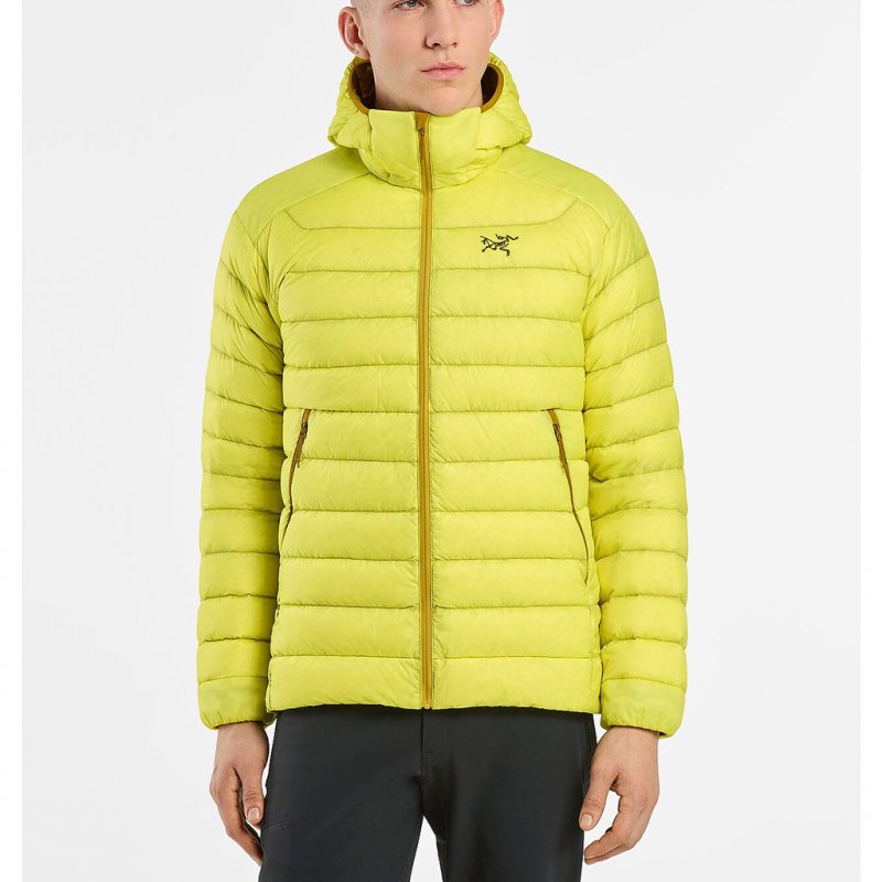 楽天市場】アークテリクス セリウム フーディ CERIUM HOODY ARC'TERYX