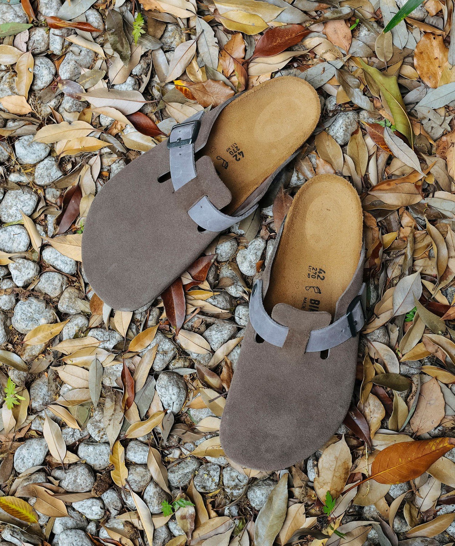 B:MING LIFE STORE by BEAMS｜【EXCLUSIVE】BIRKENSTOCK / Boston