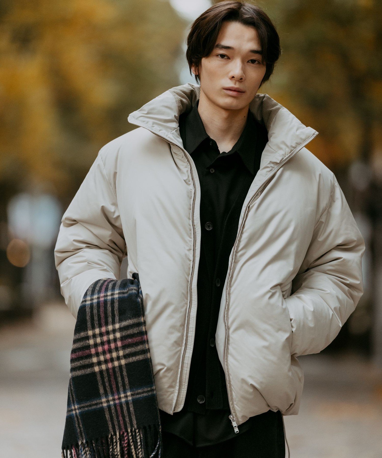 UNITED ARROWS green label relaxing｜DICROS スタンド ダウン