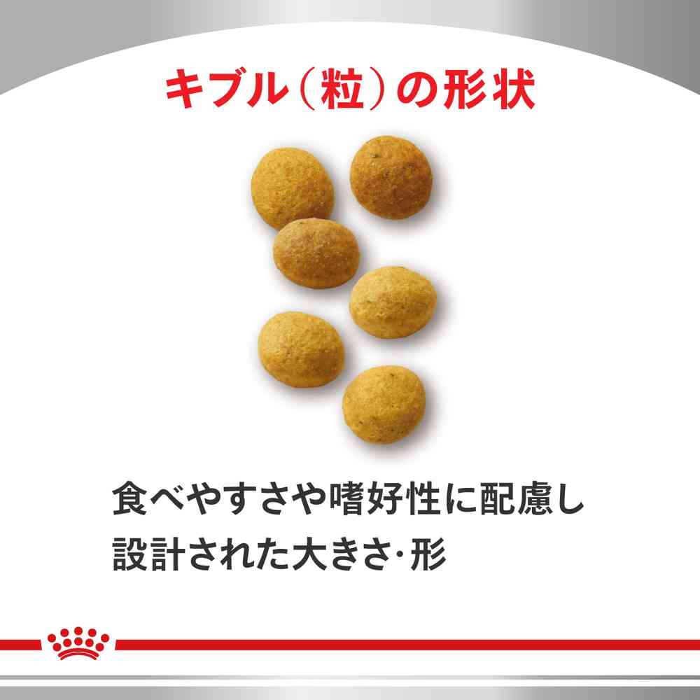 楽天市場】猫用 アミノペプチドフォーミュラ 2kgx1【ロイヤルカナン