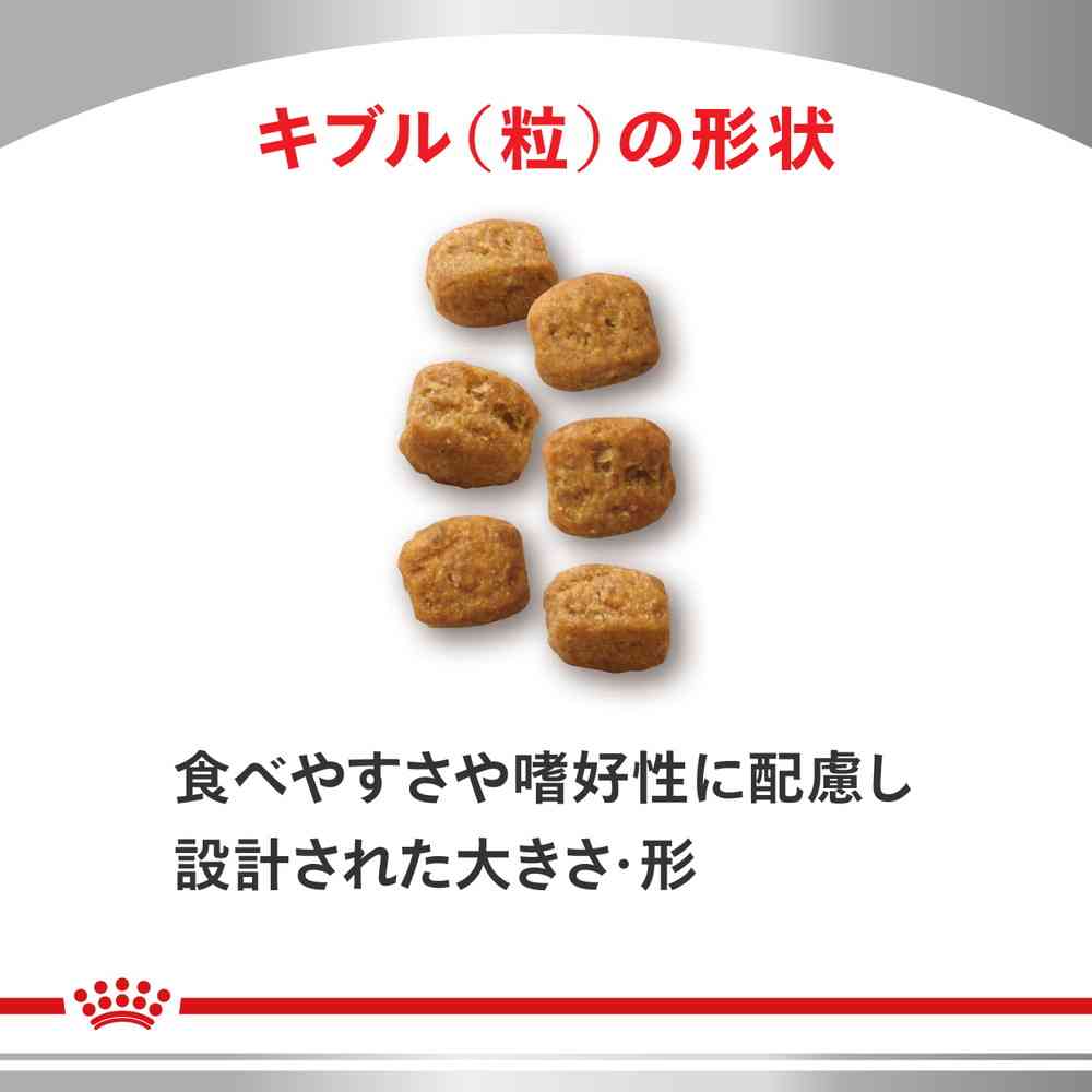 楽天市場】猫用 早期腎臓サポート 2kg【ロイヤルカナン食事療法食