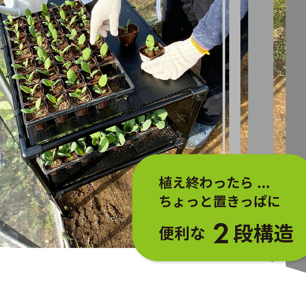 楽天市場】【エントリーでP5倍】【クーポンで最大3,000円OFF】daim