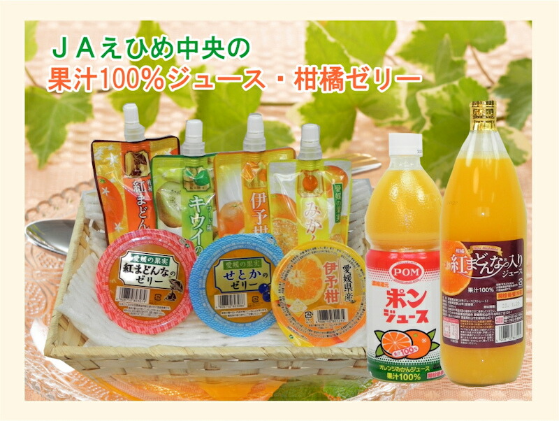 楽天市場】愛媛県の農協 JAえひめ中央 愛媛の果実 飲むせとかのゼリー