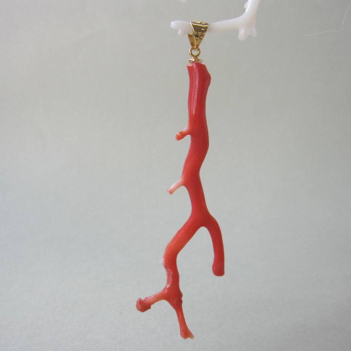 楽天市場】天然桃珊瑚 原木の通販