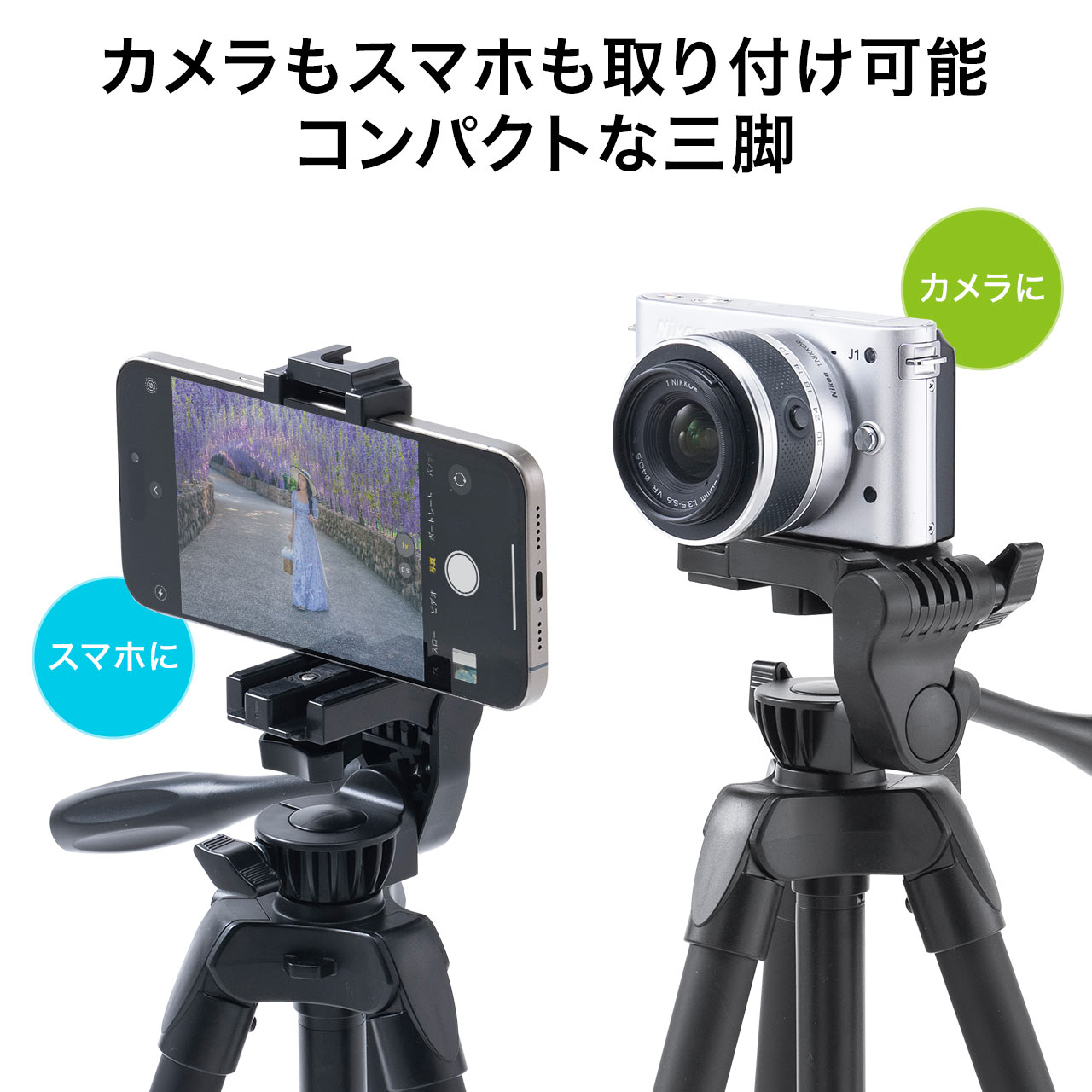 楽天市場】【スーパーSALE限定！最大800円OFFクーポン配布中