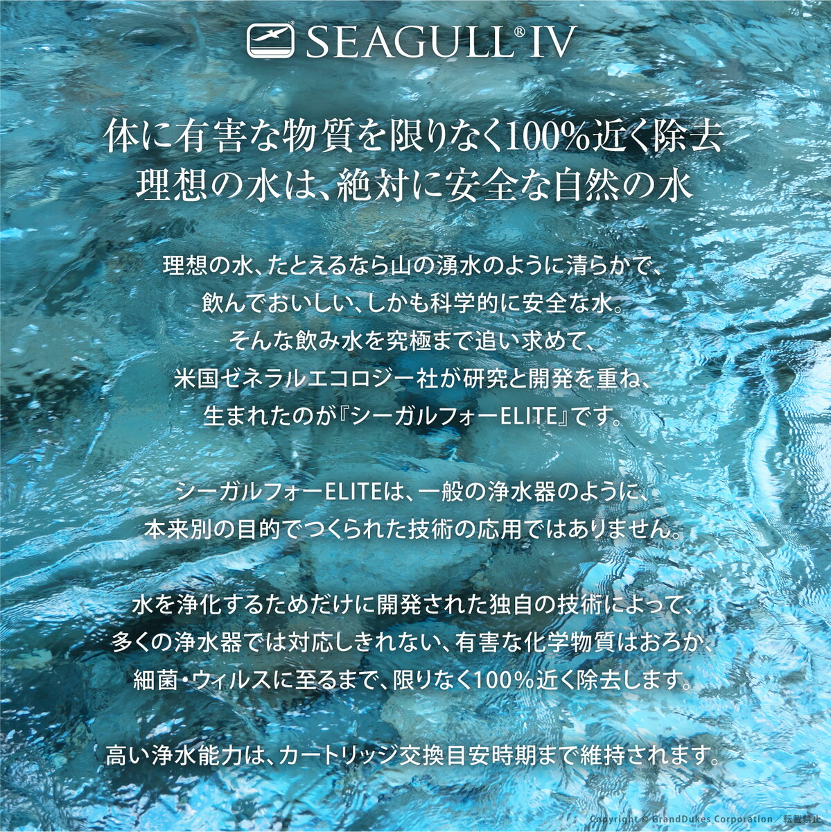 楽天市場 | シーガルフォー公式ショップ - シーガルフォー公式ショップ